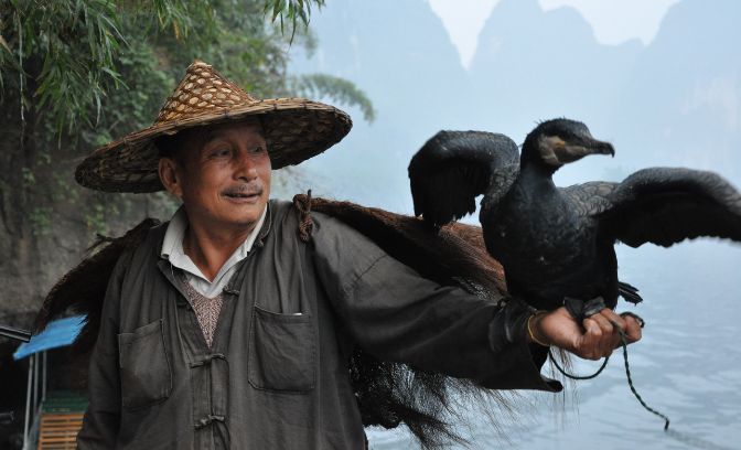 Man met vogel in Azië